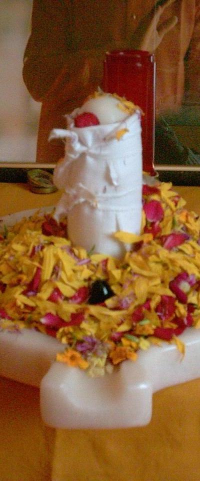 Lingam de Swami Ajay